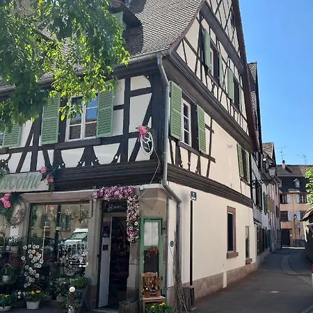 公寓 La Maison Du Batelier - Quartier Historique Petite Venise 科尔马