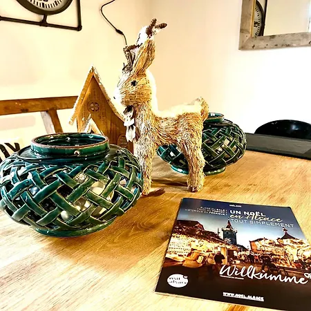 La Maison Du Batelier - Quartier Historique Petite Venise Apartment *