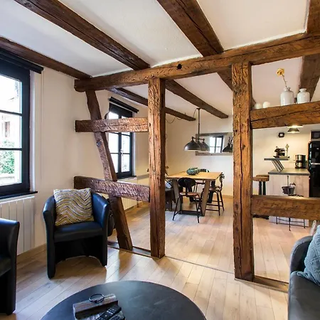 Apartament La Maison Du Batelier - Quartier Historique Petite Venise Colmar