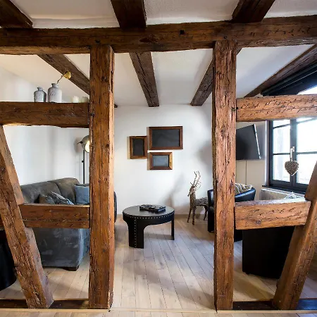 公寓 La Maison Du Batelier - Quartier Historique Petite Venise 科尔马