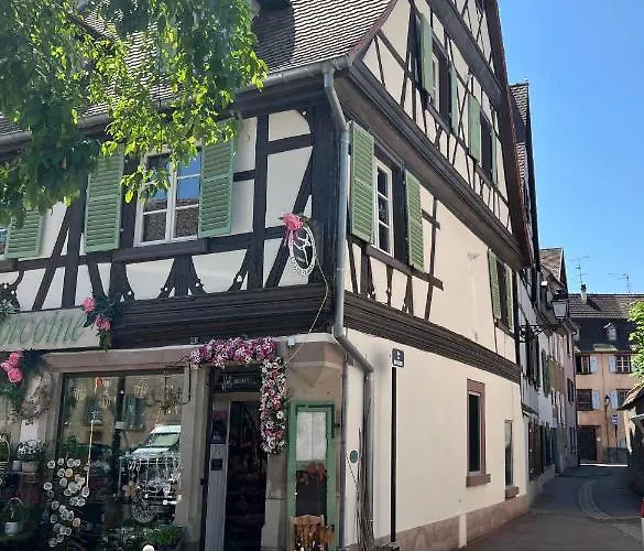 Apartment La Maison Du Batelier - Quartier Historique Petite Venise Colmar