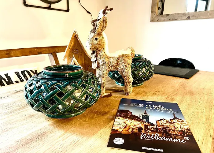 La Maison Du Batelier - Quartier Historique Petite Venise 아파트 *