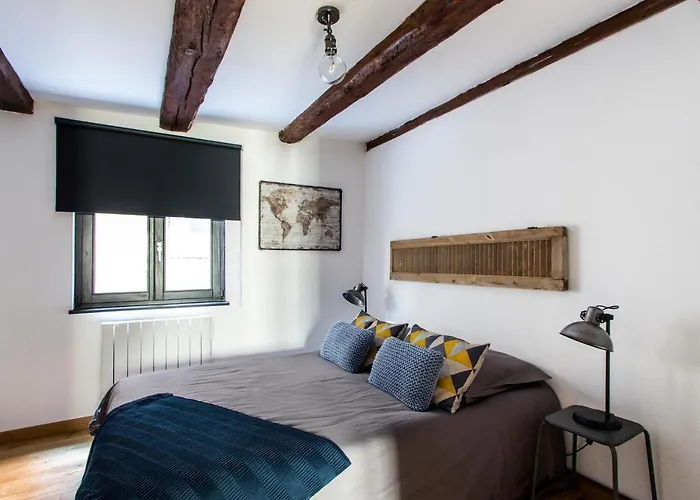 La Maison Du Batelier - Quartier Historique Petite Venise Apartment Colmar