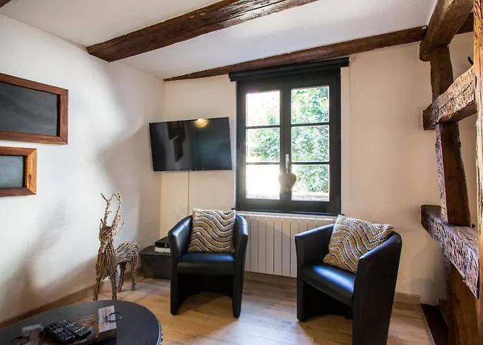 La Maison Du Batelier - Quartier Historique Petite Venise Colmar