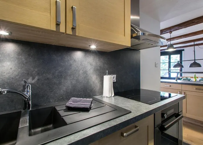 Apartment La Maison Du Batelier - Quartier Historique Petite Venise *